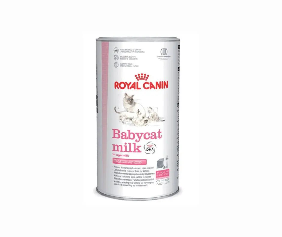 Royal Canin Baby Cat Milk Scatoletta 300g Gattini e Gatte - Animaliapet