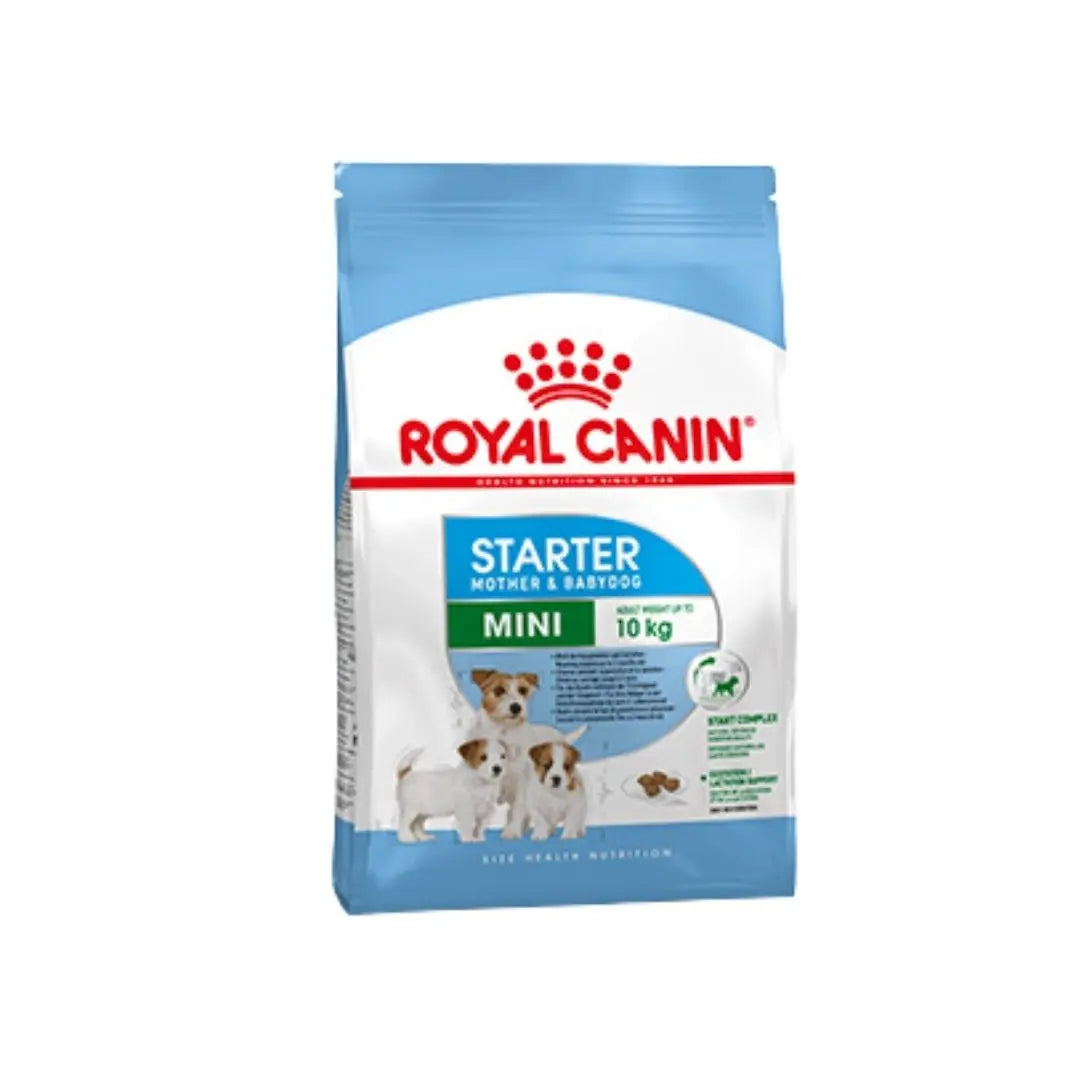 Royal Canin Mini Starter Mother e Babydog 8Kg Crocchette Cuccioli e FeCrocchette CaniAnimaliapet