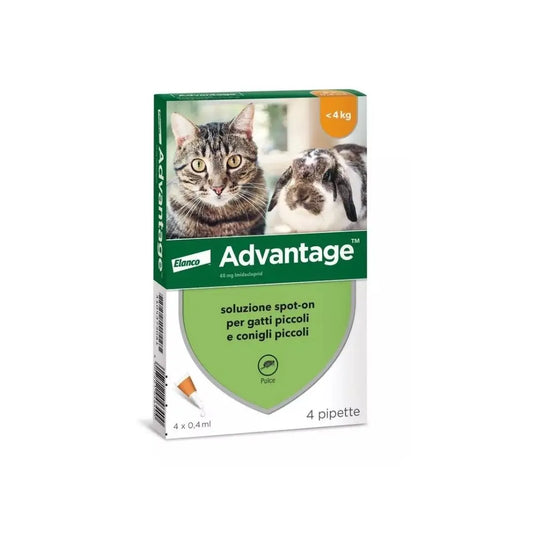 Advantage Spot On 4 Pipette 0.4ml per Gatti e Conigli Piccoli < 4Kg - Animaliapet