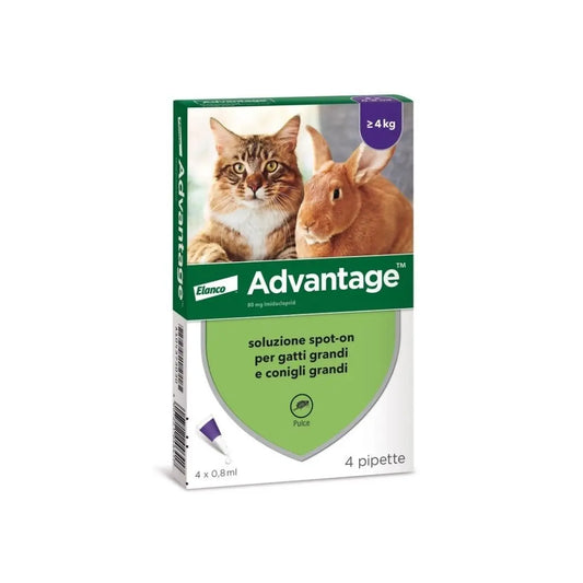 Advantage Spot On 4 Pipette 0.8ml per Gatti e Conigli Grandi >4Kg - Animaliapet