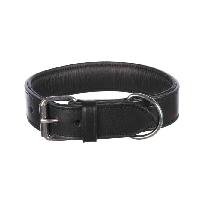 Trixie Collare Active Nero Tg. L-XL 55-65cm/40mm Collare per Cani - Animaliapet