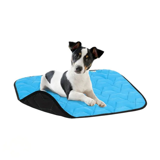 AiryVest Dog Mat Tappetino Ultraleggero Tg. M Blu/Nero per Cani e Gatti - Animaliapet