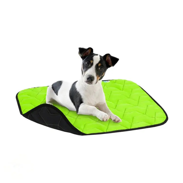 AiryVest Dog Mat Tappetino Ultraleggero Tg. L Verde/Nero per Cani e Gatti - Animaliapet