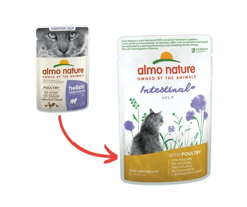 Almo Nature Intestinal Help con Pollame 70g Bustina Gatti Adulti - Animaliapet