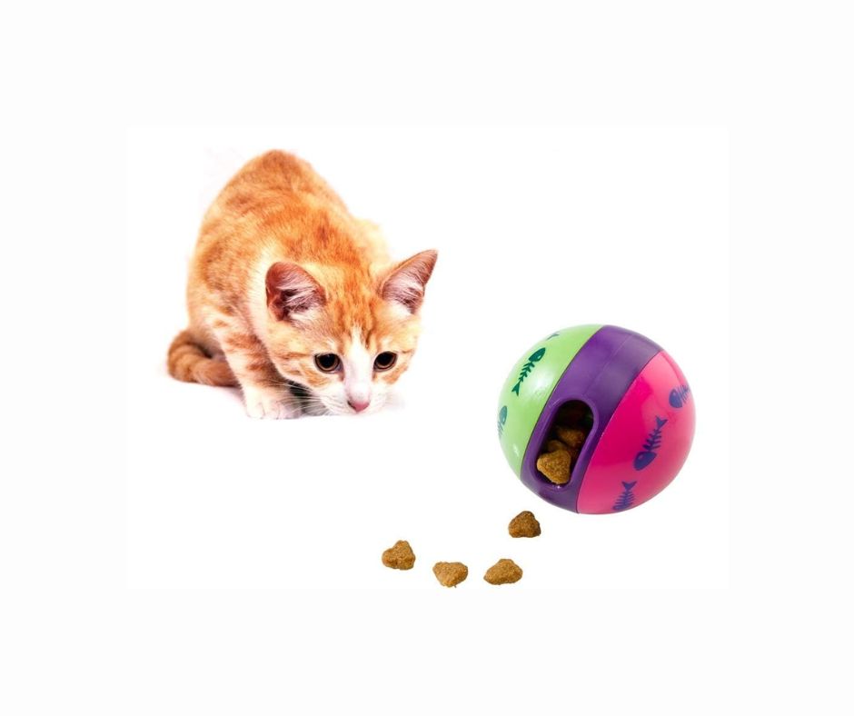 Ferplast Pallina gioco dispensa cibo per gatti - Animaliapet