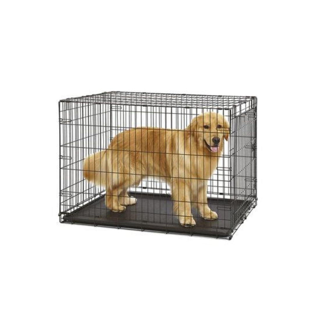 Ferplast DOG-INN 60 Box Pieghevole per Cani - Animaliapet