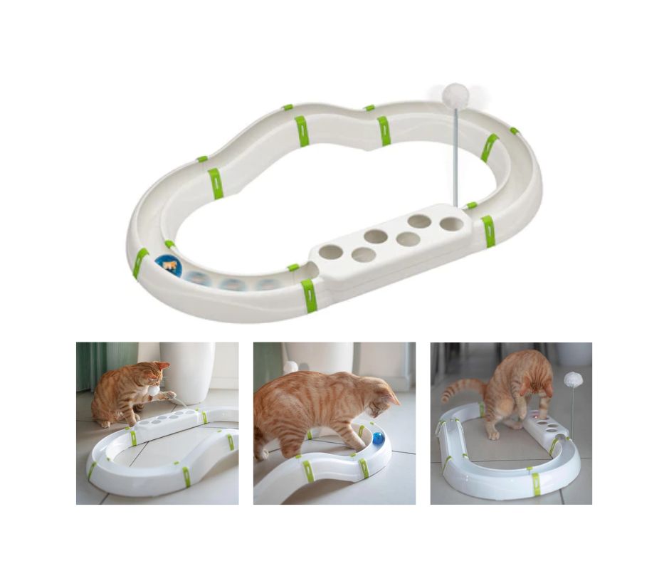 Ferplast Labyrinth Circuito Gioco per Gatti - Animaliapet