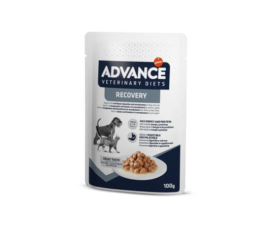 Advance Recovery 100g Bustina Cani e Gatti - Animaliapet