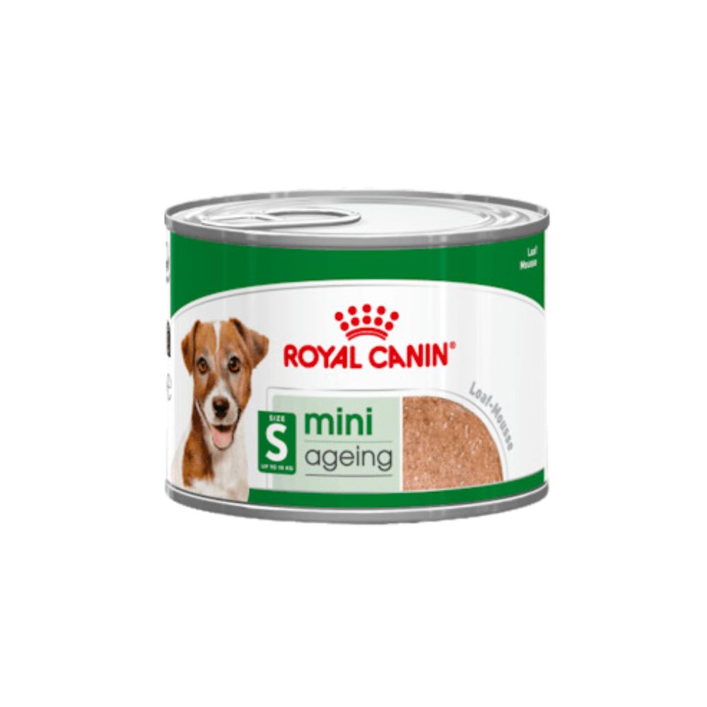 Royal Canin Mini Ageing Patè 195g Lattina Cani Anziani