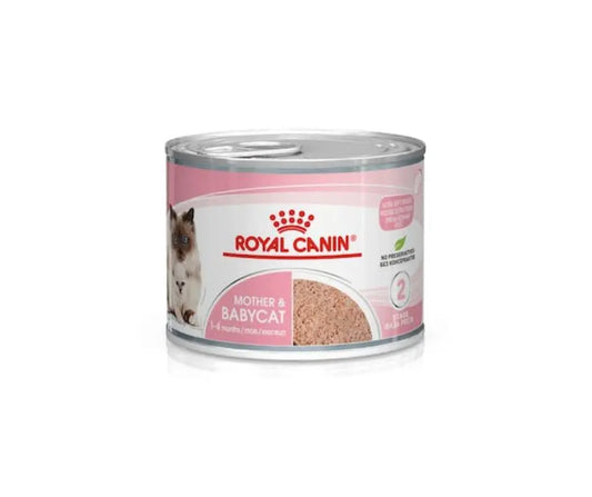 Royal Canin Mother e Babycat Lattina 195g Gattini e GatteLattina Umido GattiAnimaliapet