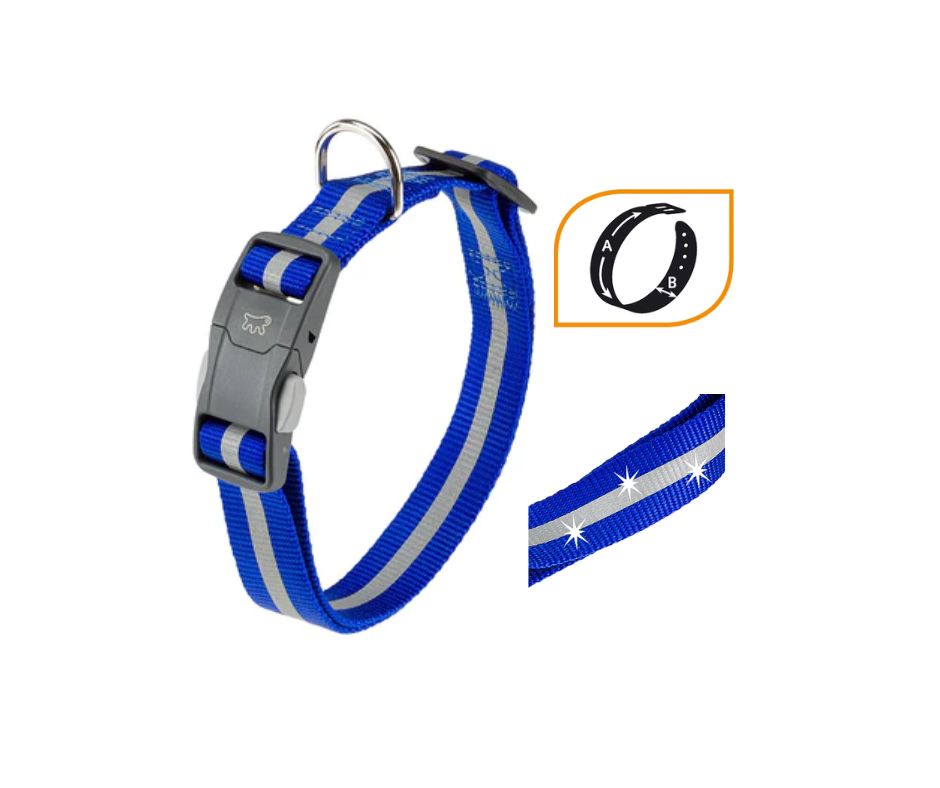 Ferplast Club Reflex Collare Blu C25/70 per Cani - Animaliapet