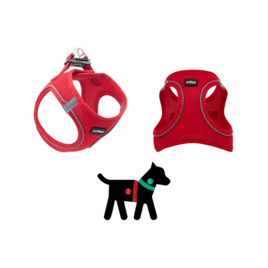 Colley Pettorina in Rete Rossa Mis. XL Cani