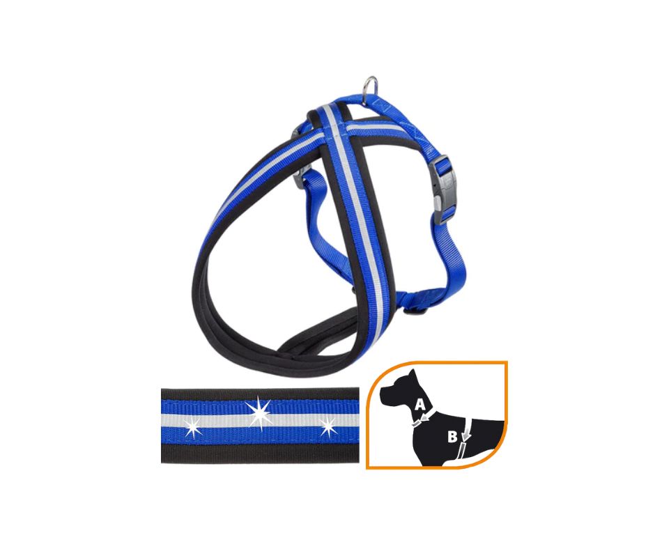 Ferplast Daytona P Cross Blu M Pettorina per Cani - Animaliapet